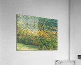 Early Fall Colours Acrylic Print