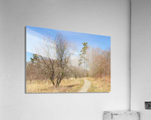 Trail2 Acrylic Print
