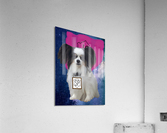 Super Papillon Acrylic Print