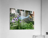 P1000272 Acrylic Print