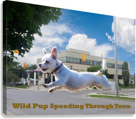 Wild Pup Speeding Through Town Canvas Print