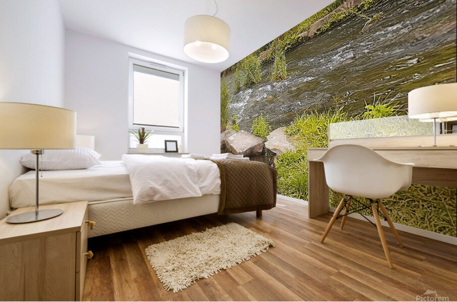 Babbling Brook Mural print