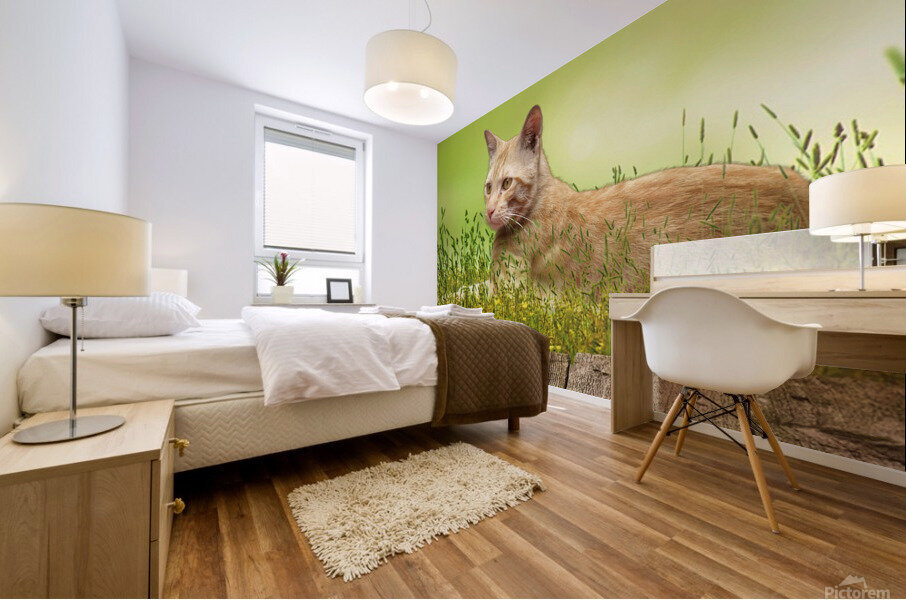 Bucky Relaxing Mural print
