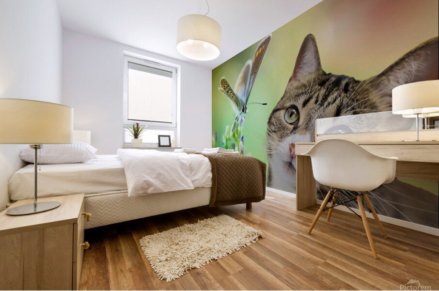 tabby and dragonfly Mural print