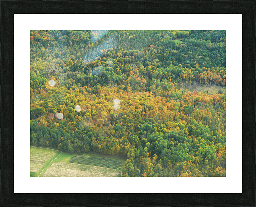 Early Fall Colours Picture Frame print