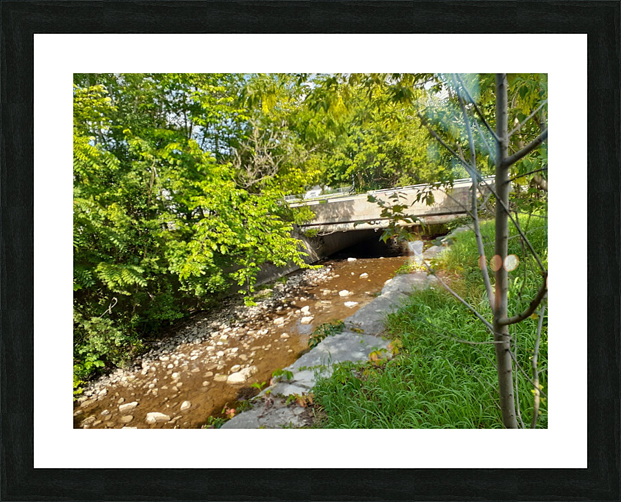 Jackson Creek Picture Frame print
