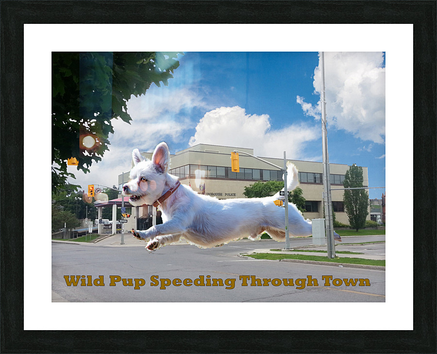 Wild Pup Speeding Through Town Picture Frame print