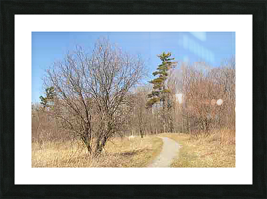 Trail2 Picture Frame print