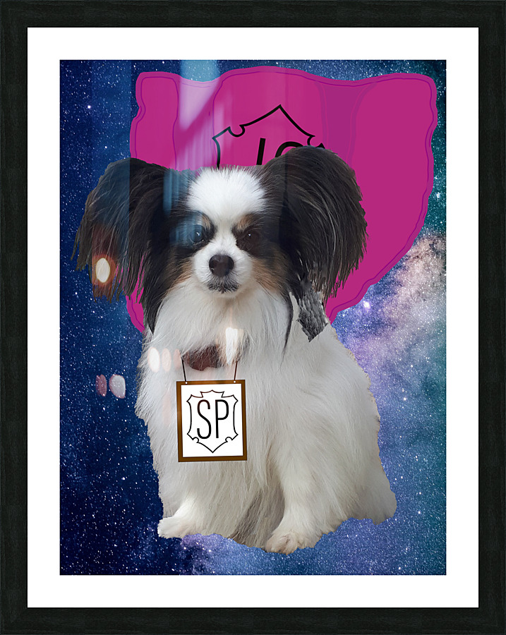 Super Papillon Picture Frame print