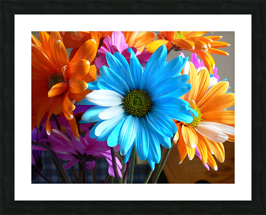 Beautiful Colored Flowers Picture Frame print