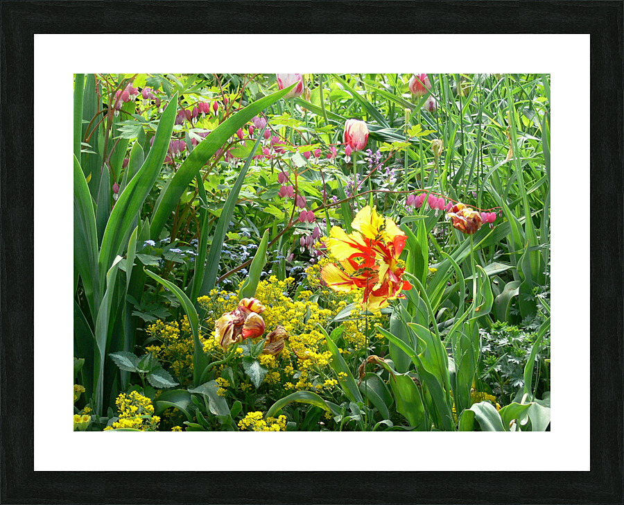 P1000269 Picture Frame print