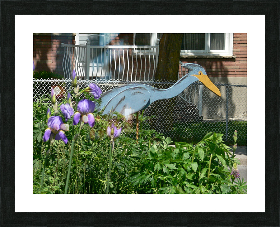 P1000272 Picture Frame print