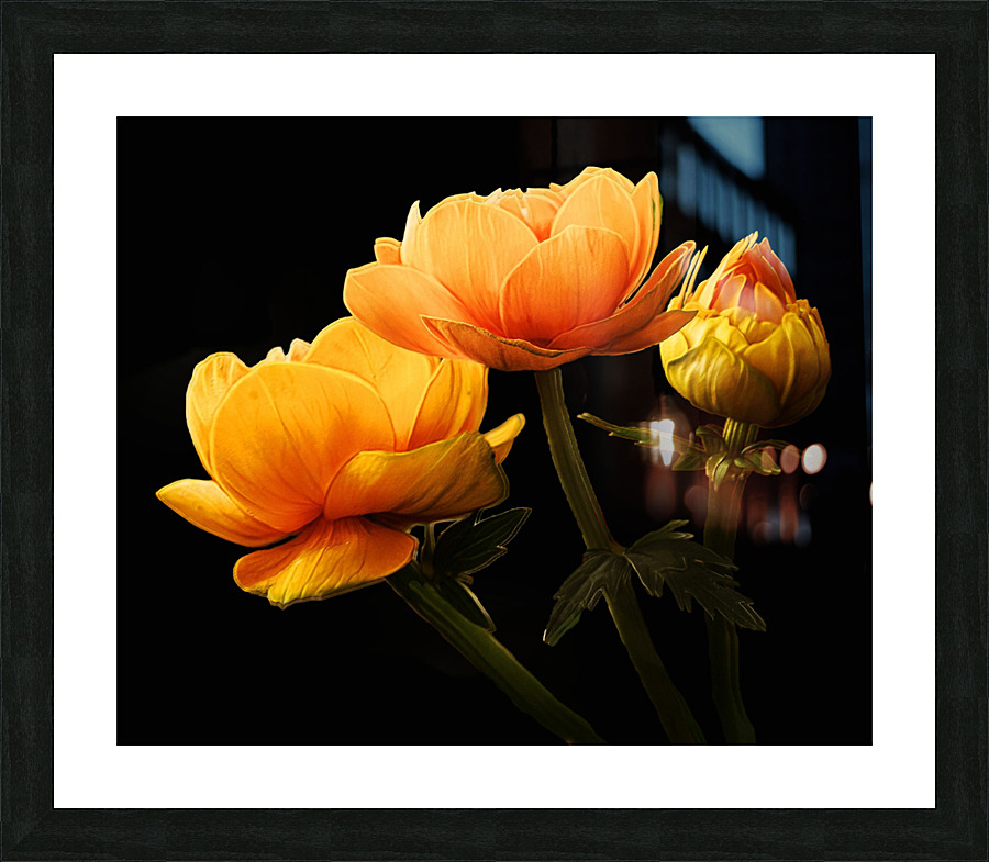 Yellow Roses Picture Frame print