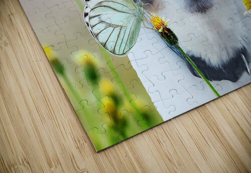 Three Papillons Ron Crough puzzle