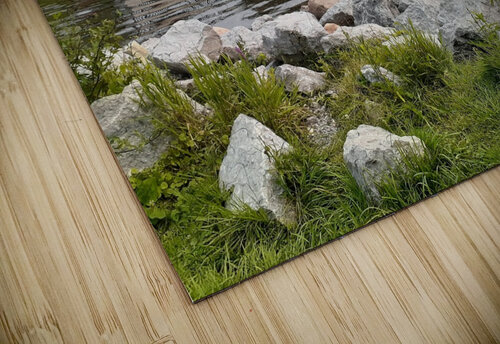 Millbrook Dam Ron Crough puzzle