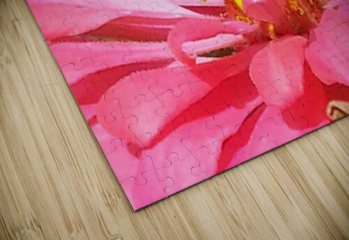 Bee on Flower Ron Crough puzzle