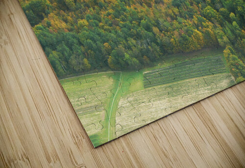 Early Fall Colours Ron Crough puzzle