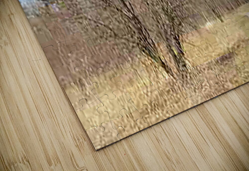 Trail2 Ron Crough puzzle