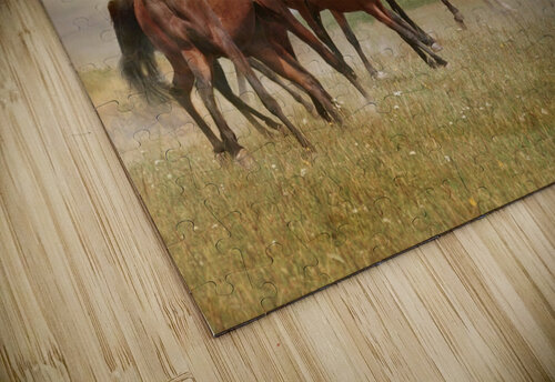 Mustangs Ron Crough puzzle