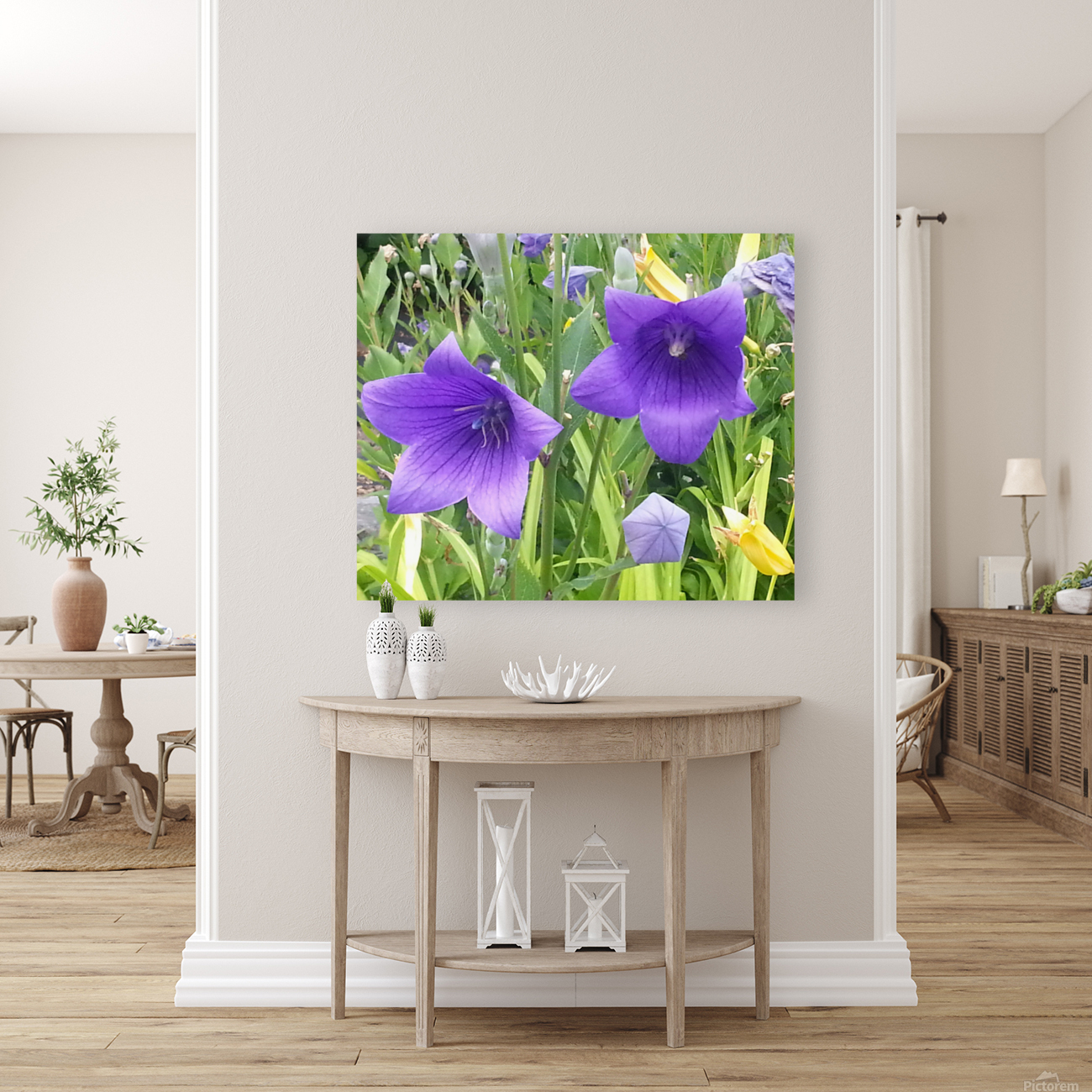 GLADIOLUS Reproduction