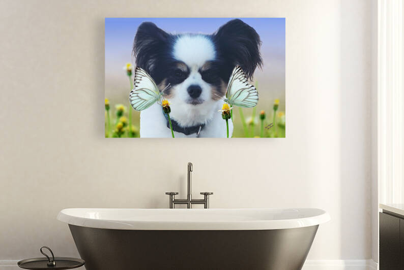 Three Papillons by Ron Crough