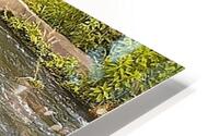 Babbling Brook HD Metal print