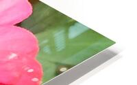 Bee on Flower HD Metal print