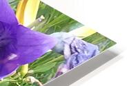 GLADIOLUS HD Metal print