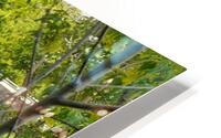 Jackson Creek HD Metal print