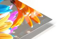 Beautiful Colored Flowers HD Metal print