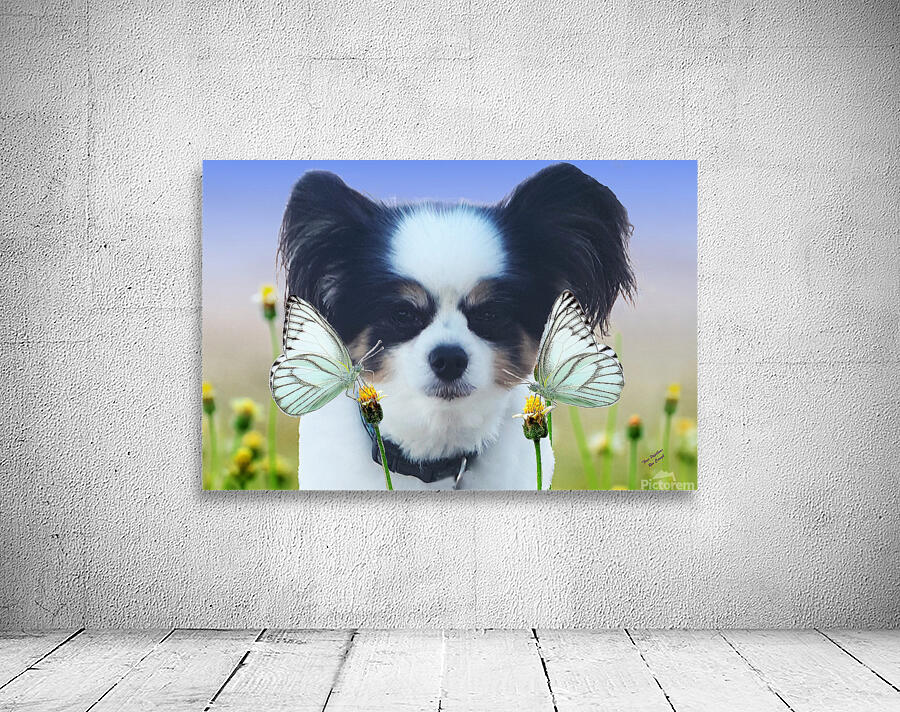 Three Papillons Wall Preview