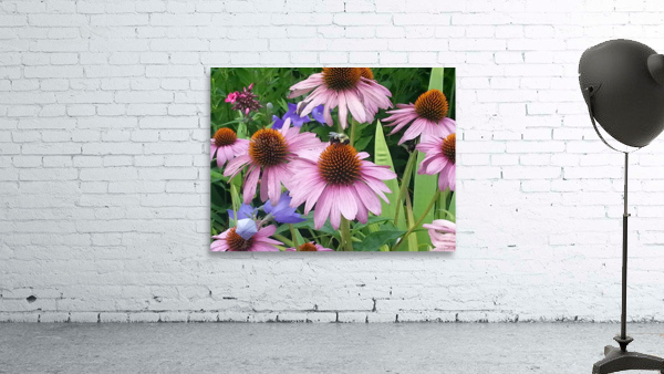 Pollinating Bee Wall Preview