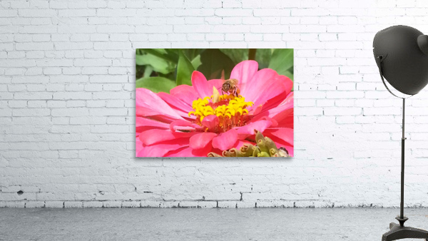 Bee on Flower Wall Preview