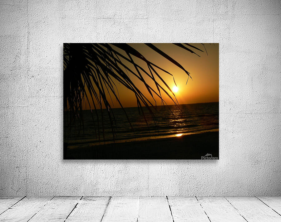 Sunset in Florida Wall Preview