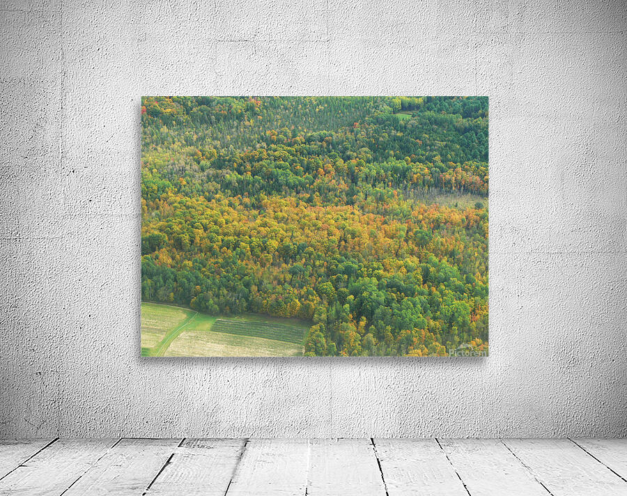 Early Fall Colours Wall Preview