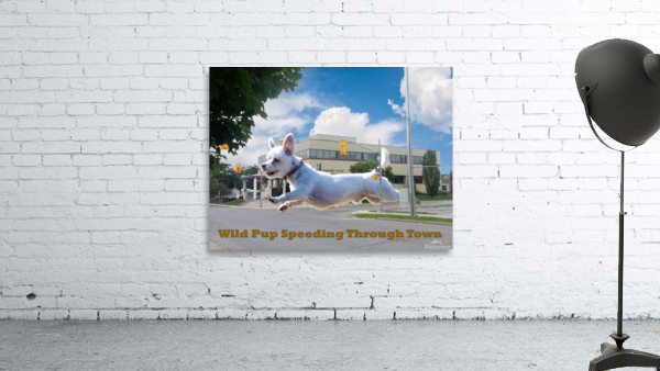 Wild Pup Speeding Through Town Wall Preview