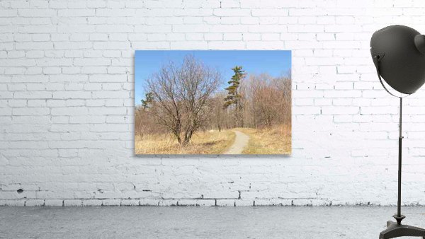 Trail2 Wall Preview