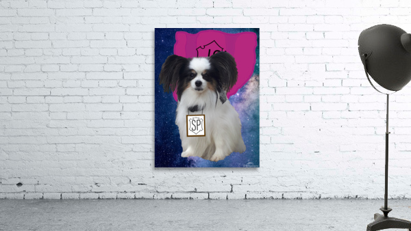 Super Papillon Wall Preview