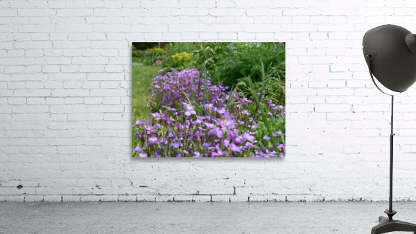 P1000268 Wall Preview