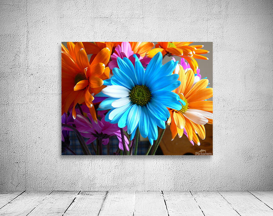Beautiful Colored Flowers Wall Preview
