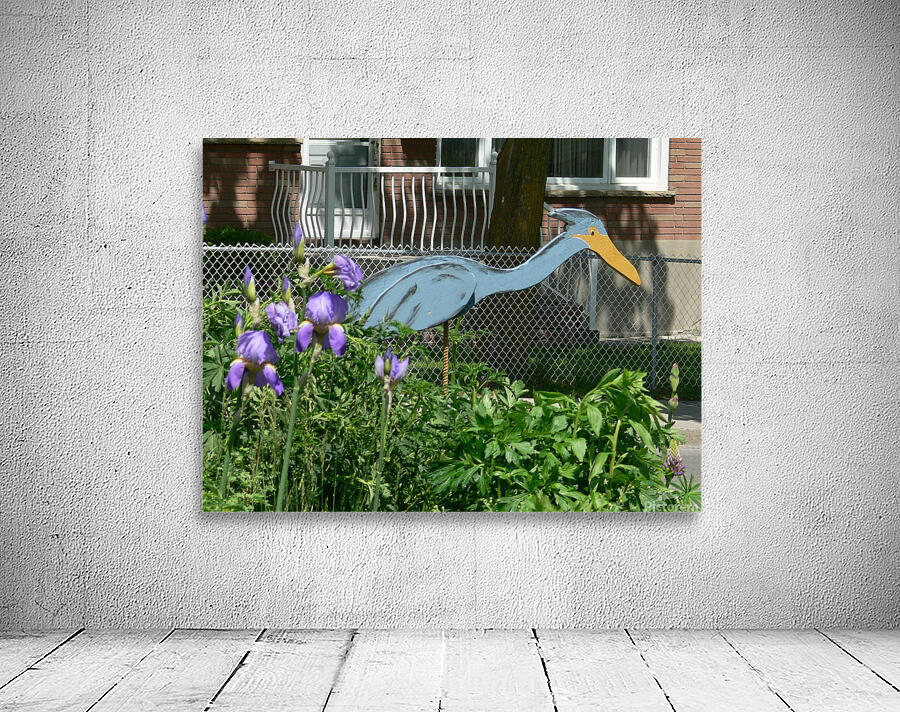 P1000272 Wall Preview