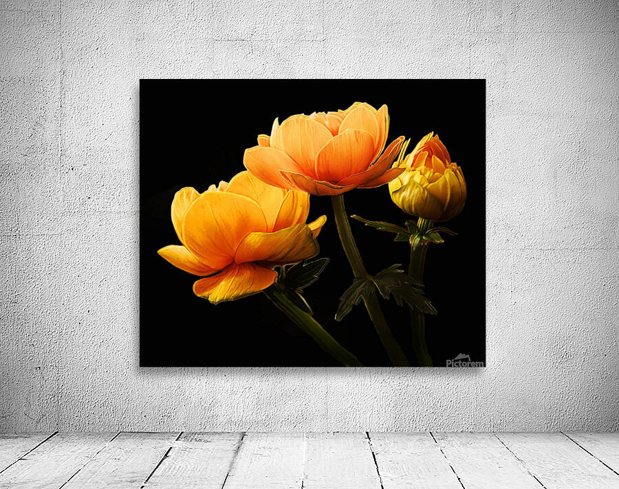 Yellow Roses Wall Preview