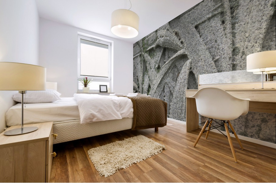 Granite Daffodil Mural print