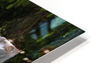 Greene Memorial Bench HD Metal print
