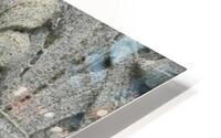Granite Daffodil HD Metal print