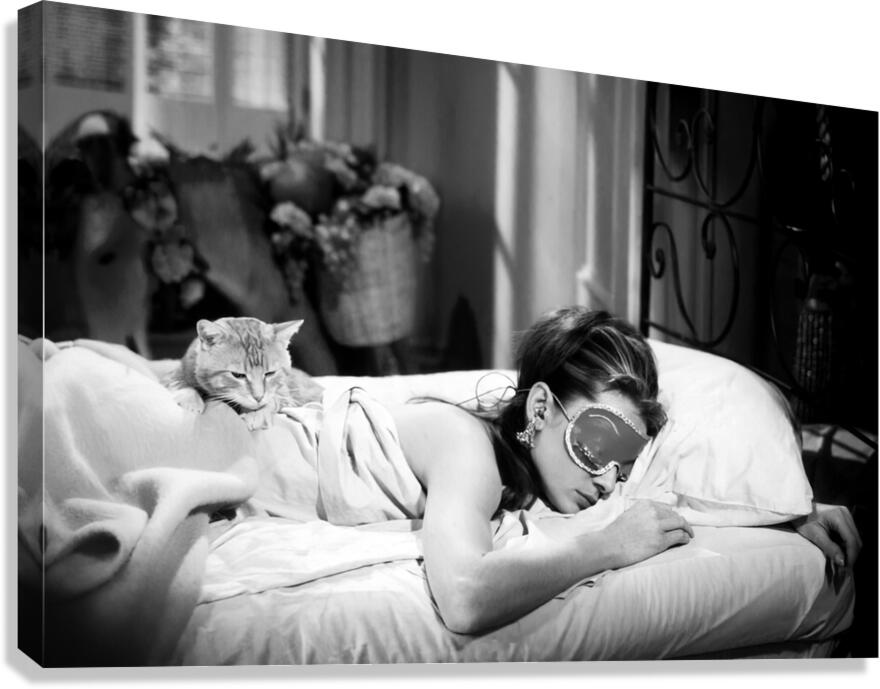 Audrey hepburn and Her Cat Sleep Canvas Print