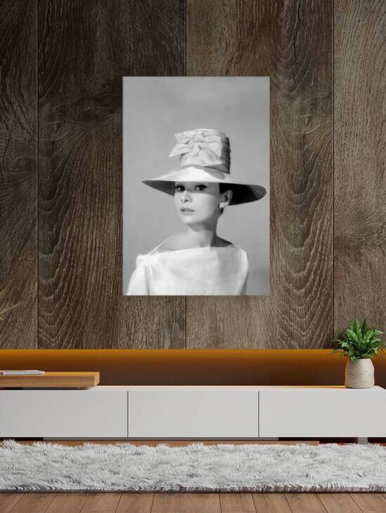 Audrey Hepburn Funny Face 2 by chirsteven