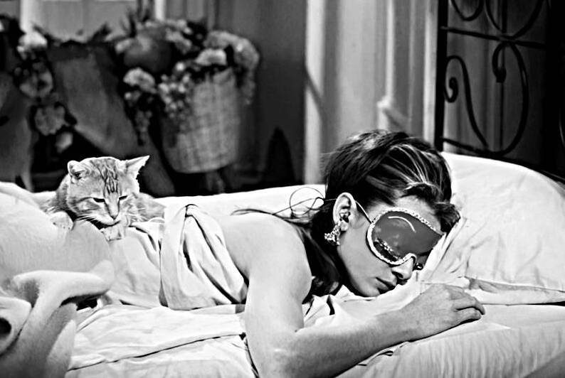 Audrey hepburn and Her Cat Sleep by chirsteven
