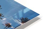 Neo Classical Pool - Slim Aarons HD Metal print