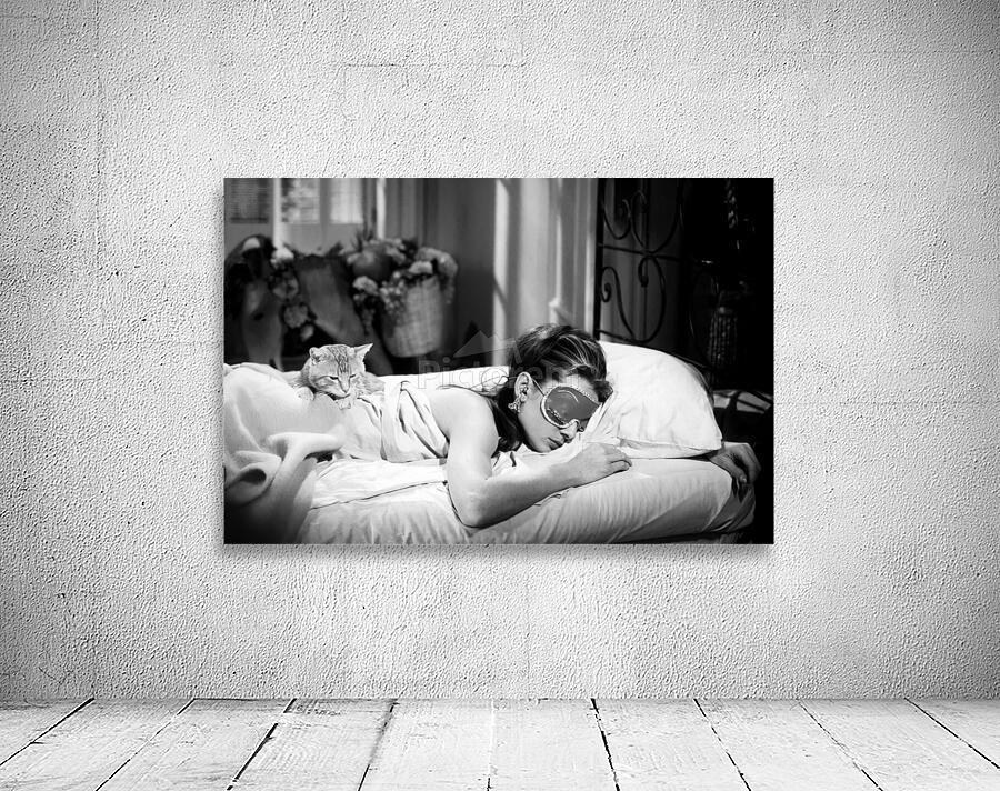 Audrey hepburn and Her Cat Sleep Wall Preview
